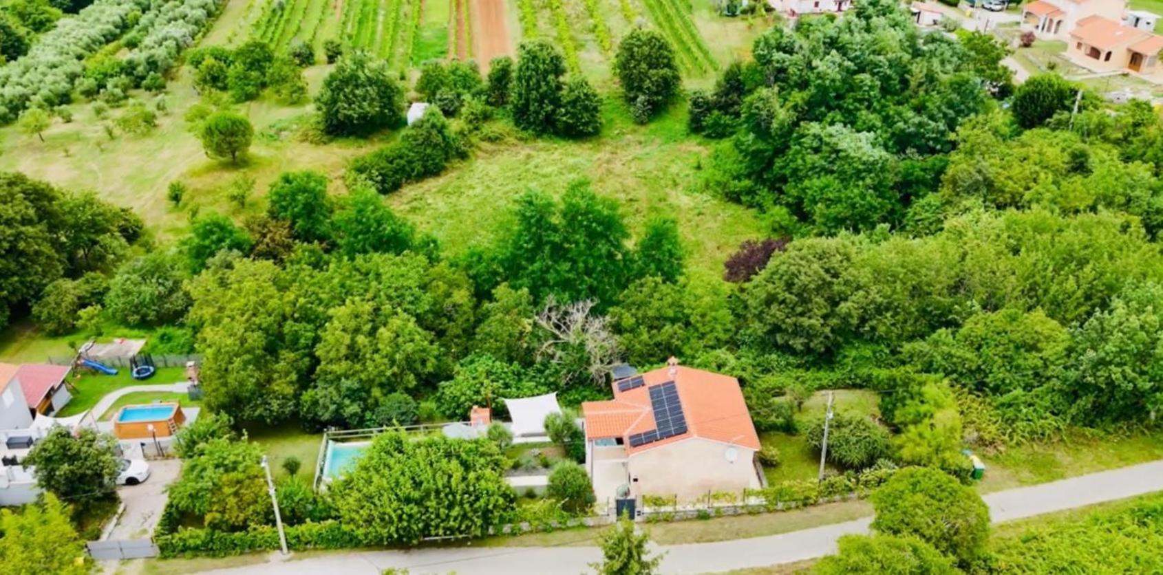 Wellness House Oliva With Heated Salt Water Pool, Sauna & Jakuzzi 拉宾 外观 照片